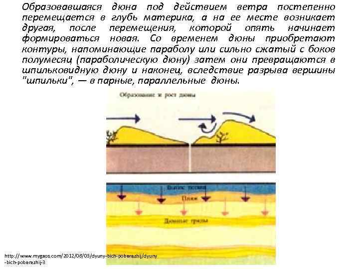 Образовавшаяся дюна под действием ветра постепенно перемещается в глубь материка, а на ее месте