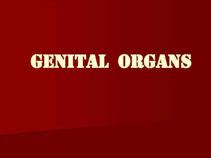 GENITAL ORGANS 