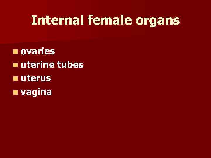 Internal female organs n ovaries n uterine n uterus n vagina tubes 