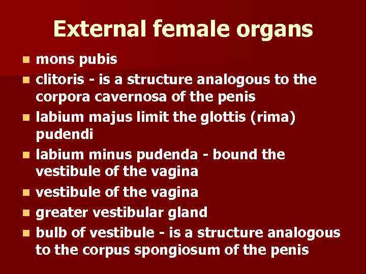 External female organs n n n n mons pubis clitoris - is a structure