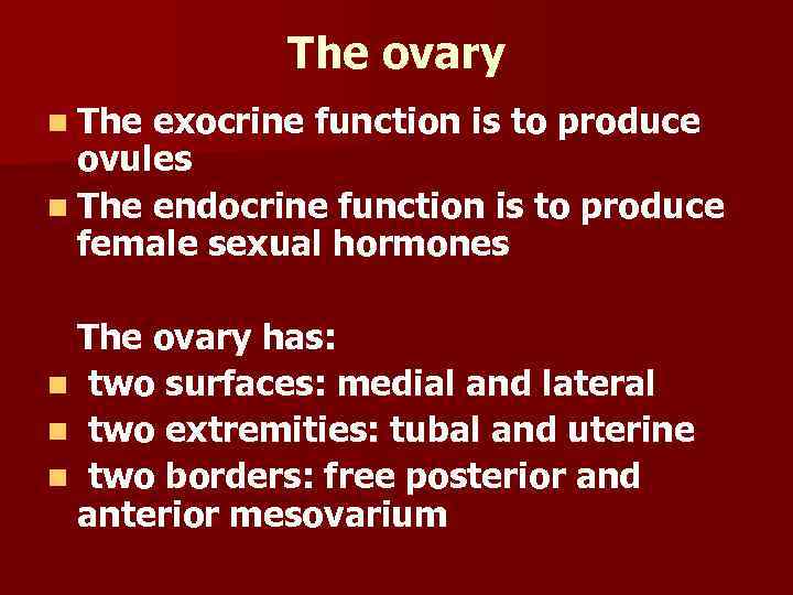 The ovary n The exocrine function is to produce ovules n The endocrine function