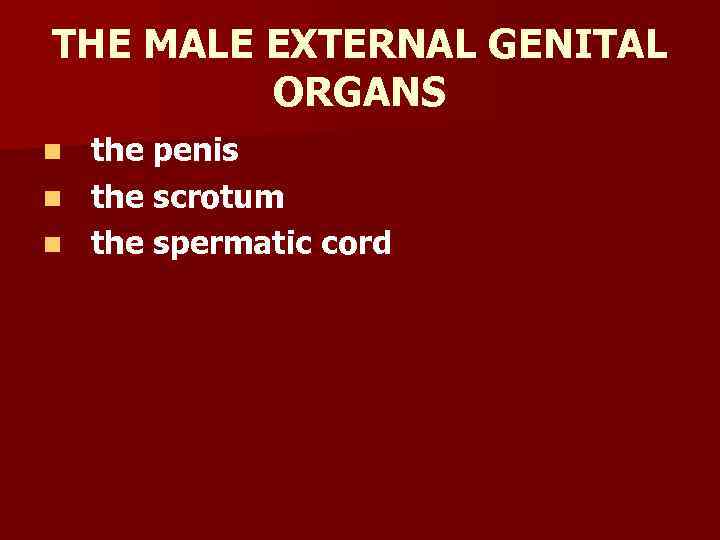 THE MALE EXTERNAL GENITAL ORGANS the penis n the scrotum n the spermatic cord