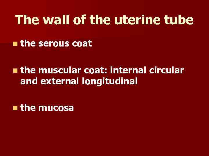 The wall of the uterine tube n the serous coat n the muscular coat: