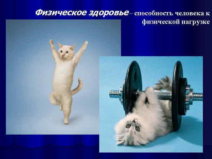 Физическое здоровье – способность человека к физической нагрузке 