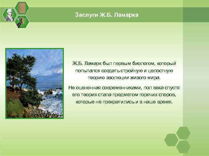 Заслуги Ж. Б. Ламарка Ж. Б. Ламарк был первым биологом, который попытался создать стройную