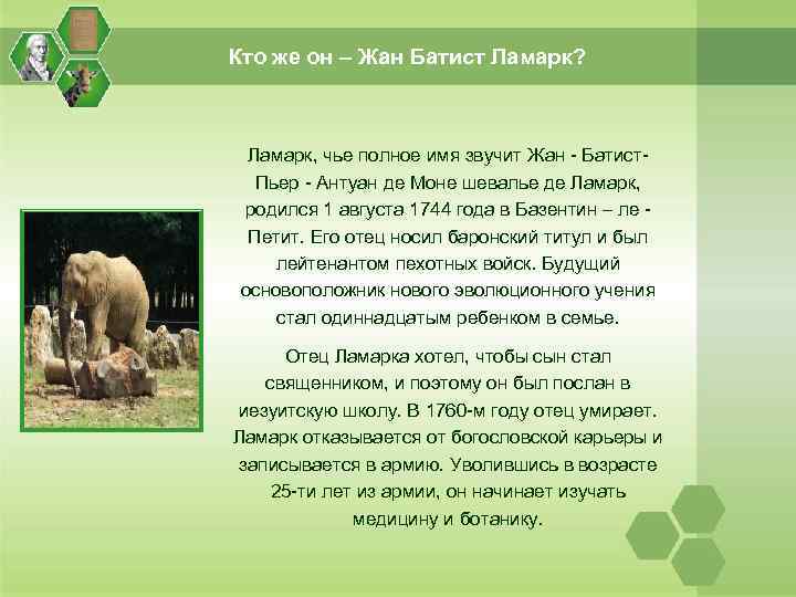 Кто же он – Жан Батист Ламарк? Ламарк, чье полное имя звучит Жан -