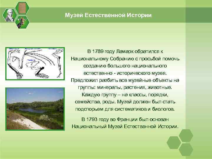 Музей Естественной Истории В 1789 году Ламарк обратился к Национальному Собранию с просьбой помочь