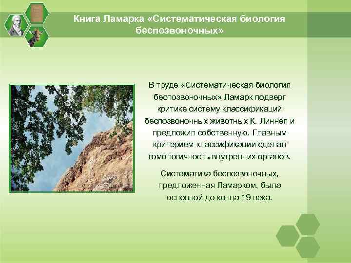 Книга Ламарка «Систематическая биология беспозвоночных» В труде «Систематическая биология беспозвоночных» Ламарк подверг критике систему