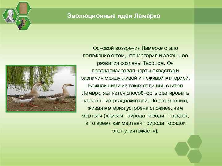 Эволюционные идеи Ламарка Основой воззрения Ламарка стало положение о том, что материя и законы
