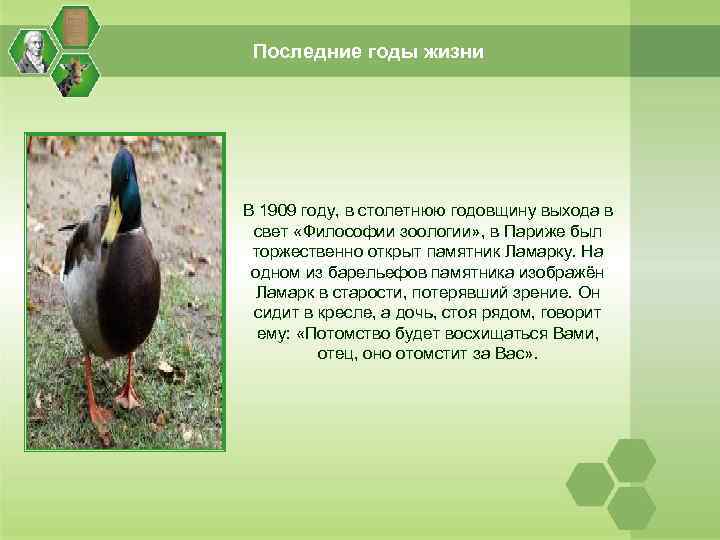 Последние годы жизни В 1909 году, в столетнюю годовщину выхода в свет «Философии зоологии»