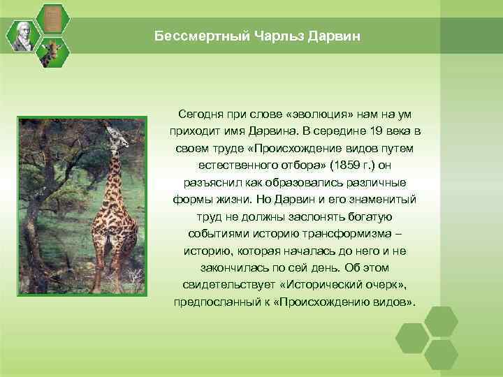 Бессмертный Чарльз Дарвин Сегодня при слове «эволюция» нам на ум приходит имя Дарвина. В