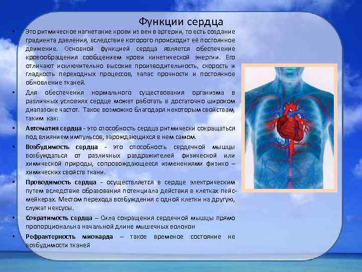  • • Функции сердца Это ритмическое нагнетание крови из вен в артерии, то