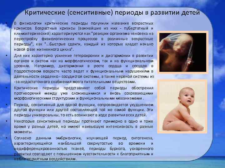 Критические (сенситивные) периоды в развитии детей • • • В физиологии критические периоды получили
