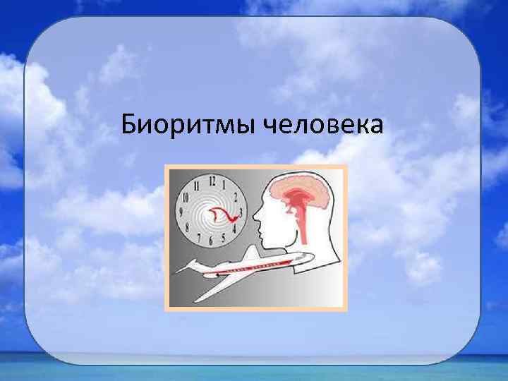 Биоритмы человека 