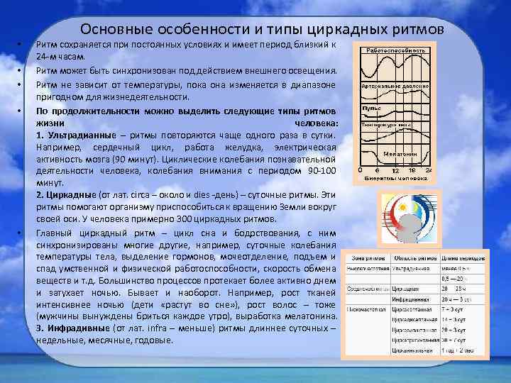  • • • Основные особенности и типы циркадных ритмов Ритм сохраняется при постоянных
