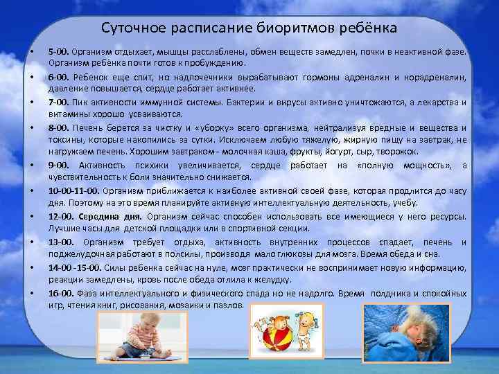 Суточное расписание биоритмов ребёнка • • • 5 -00. Организм отдыхает, мышцы расслаблены, обмен