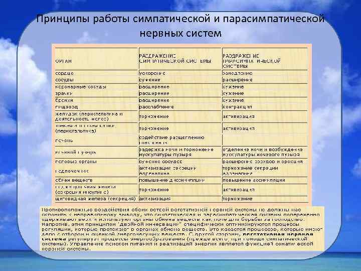 Принципы работы симпатической и парасимпатической нервных систем 