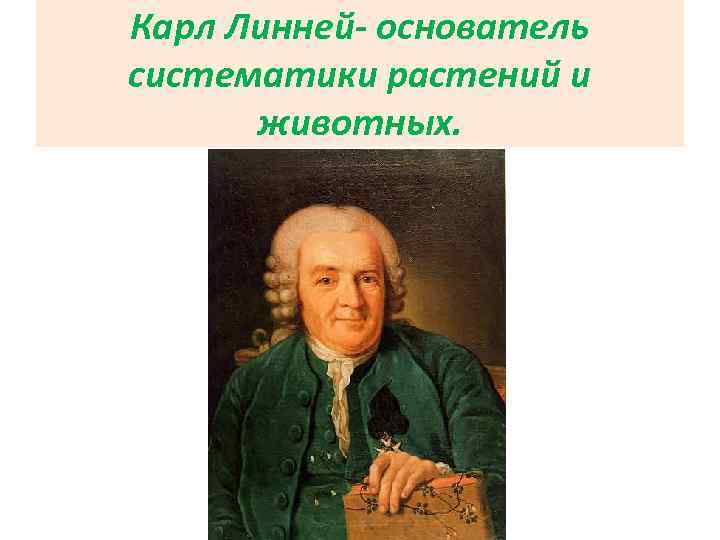 Карл Линней- основатель систематики растений и животных. 
