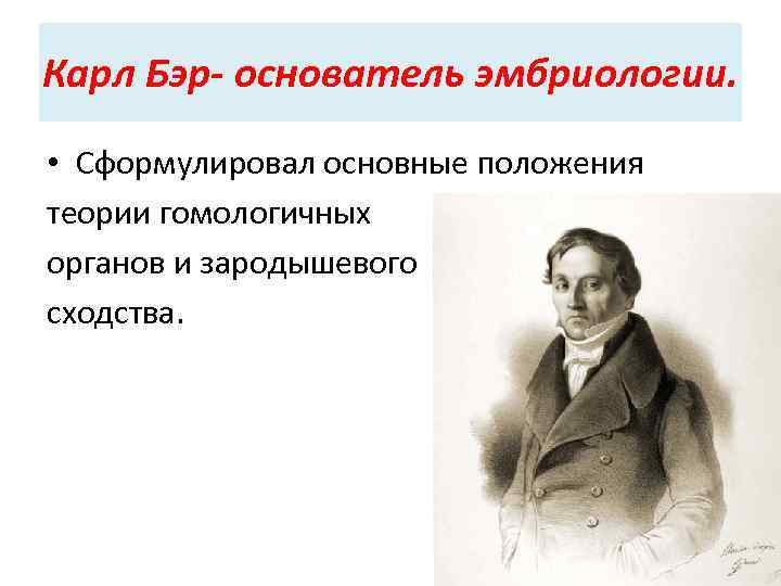 Карл Бэр- основатель эмбриологии. • Сформулировал основные положения теории гомологичных органов и зародышевого сходства.