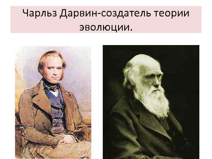 Чарльз Дарвин-создатель теории эволюции. 