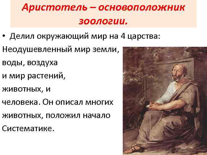 Аристотель – основоположник зоологии. • Делил окружающий мир на 4 царства: Неодушевленный мир земли,