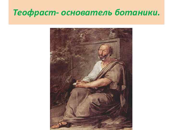 Теофраст- основатель ботаники. 