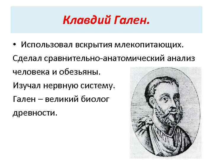 Клавдий Гален. • Использовал вскрытия млекопитающих. Сделал сравнительно-анатомический анализ человека и обезьяны. Изучал нервную
