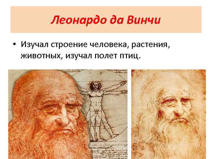 Леонардо да Винчи • Изучал строение человека, растения, животных, изучал полет птиц. 