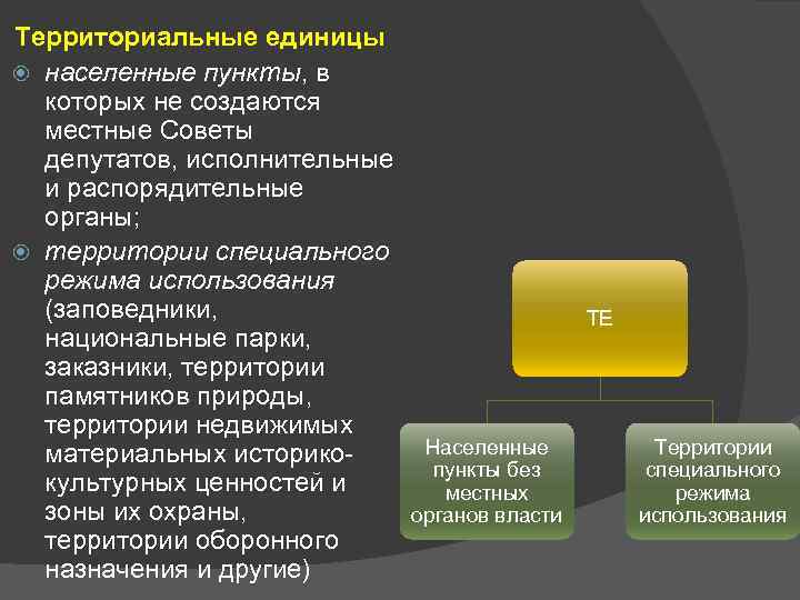 Территориальные единицы населенные пункты, в которых не создаются местные Советы депутатов, исполнительные и распорядительные