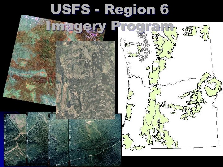 USFS - Region 6 Imagery Program 