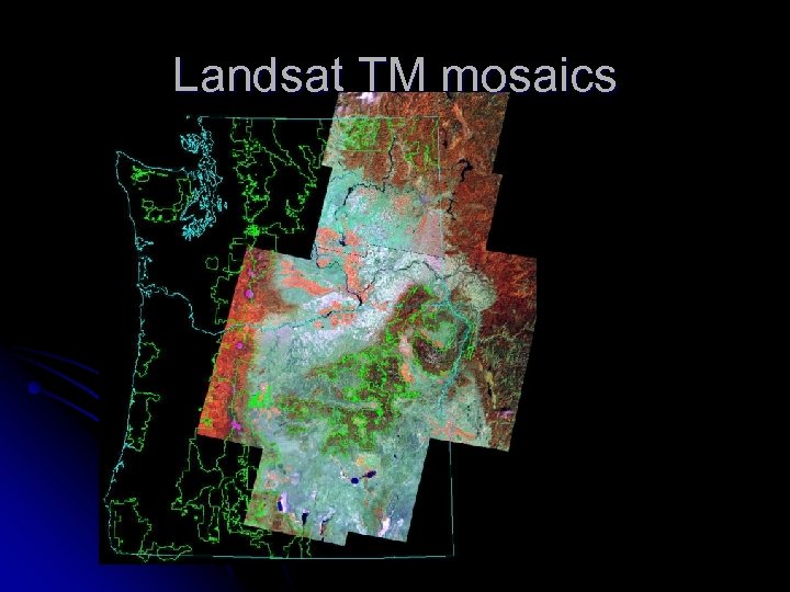 Landsat TM mosaics 