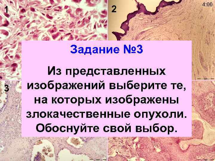 1 2 Задание № 3 3 Из представленных изображений выберите те, 4 на которых