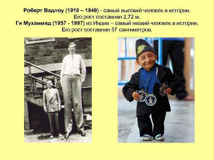 Роберт Вадлоу (1918 – 1940) - самый высокий человек в истории. Его рост составлял