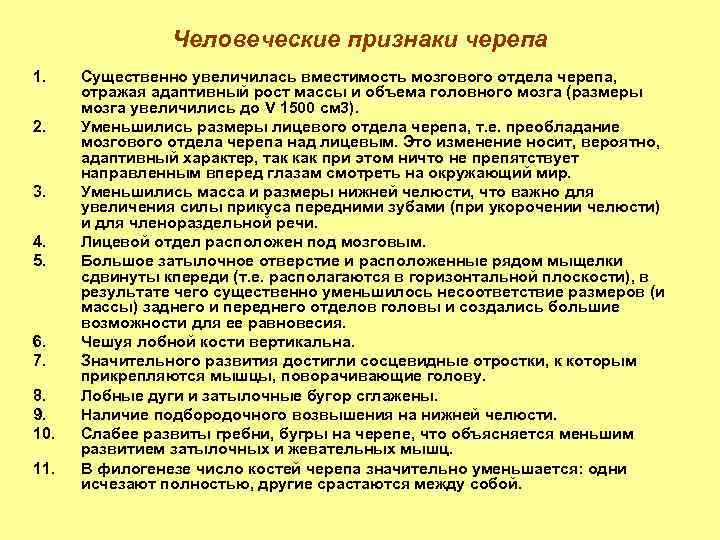 Человеческие признаки черепа 1. 2. 3. 4. 5. 6. 7. 8. 9. 10. 11.