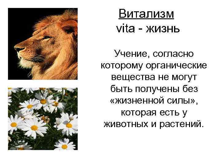 Витализм vita - жизнь Учение, согласно которому органические вещества не могут быть получены без