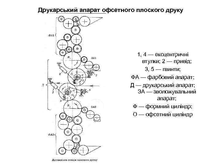 Друкарський апарат офсетного плоского друку 1, 4 — ексцентричні втулки; 2 — привід; 3,