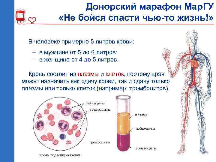 Последствия донорства крови. Сдача крови после плазмы. Донорские тромбоциты.