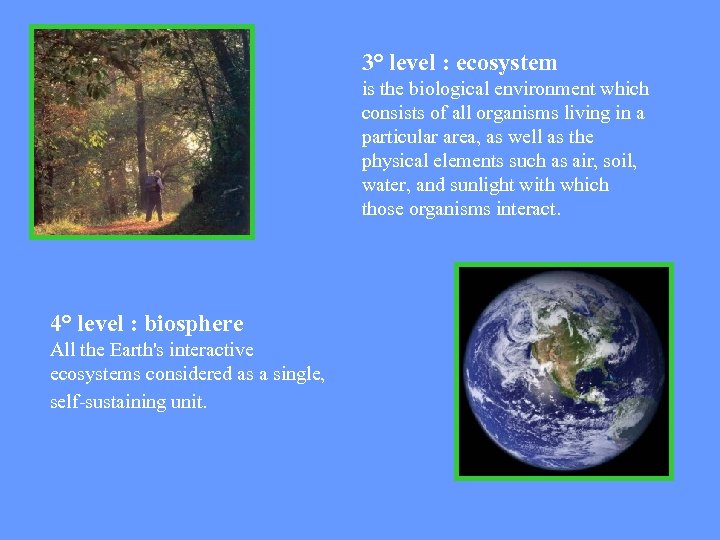 3° level : ecosystem is the biological environment which consists of all organisms living