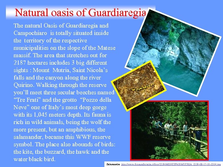 Natural oasis of Guardiaregia The natural Oasis of Guardiaregia and Campochiaro is totally situated