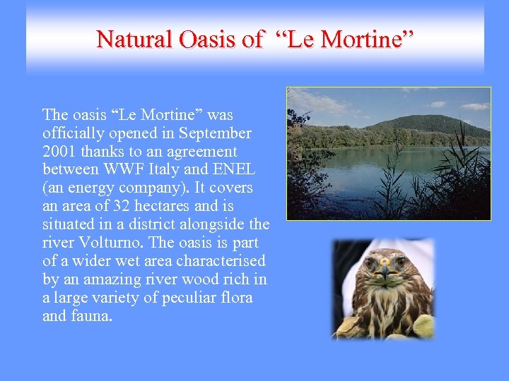 Natural Oasis of “Le Mortine” The oasis “Le Mortine” was officially opened in September