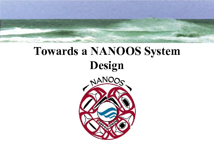 Towards a NANOOS System Design 