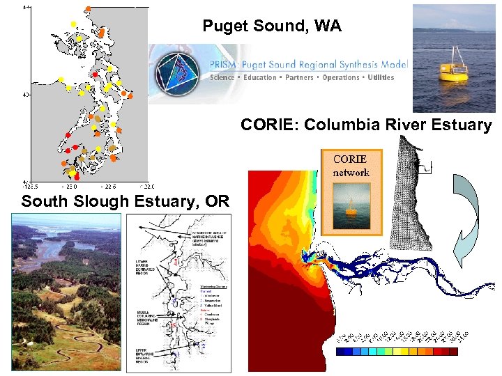 Puget Sound, WA CORIE: Columbia River Estuary South Slough Estuary, OR 
