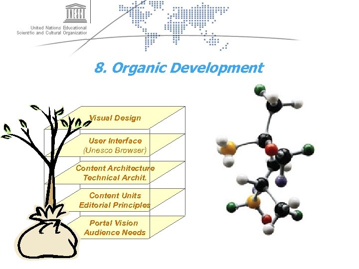 8. Organic Development Visual Design User Interface (Unesco Browser) Content Architecture Technical Archit. Content