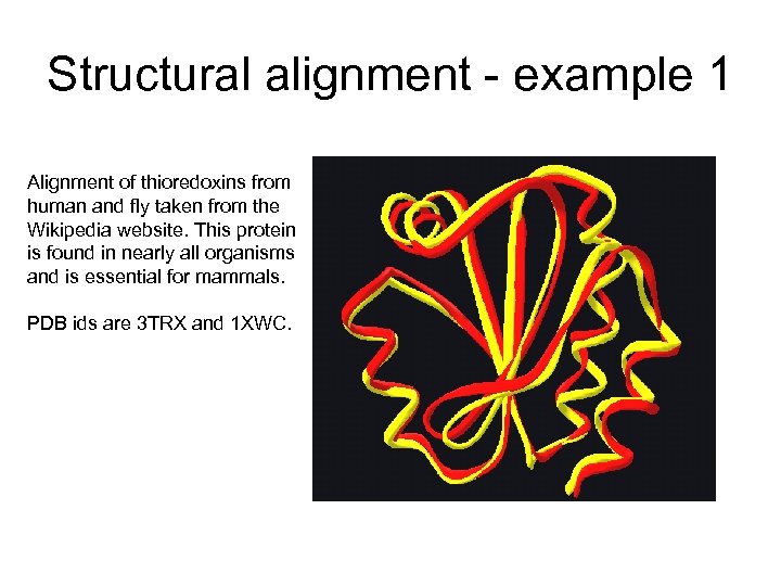 Structural alignment - example 1 Alignment of thioredoxins from human and fly taken from