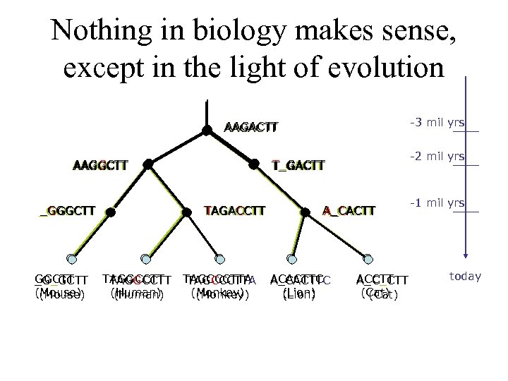 Nothing in biology makes sense, except in the light of evolution -3 mil yrs