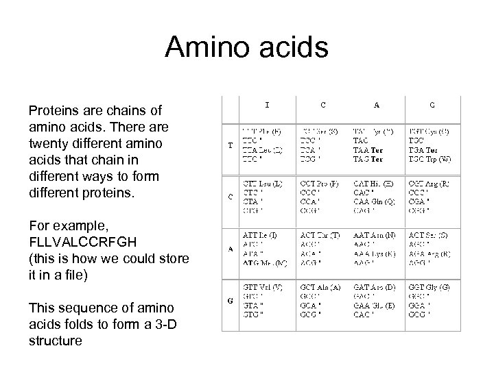 Amino acids Proteins are chains of amino acids. There are twenty different amino acids