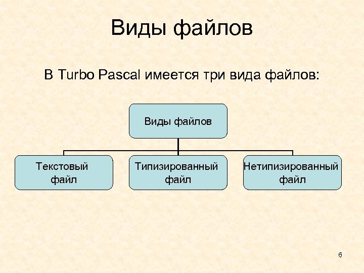 Виды файлов В Turbo Pascal имеется три вида файлов: Виды файлов Текстовый файл Типизированный