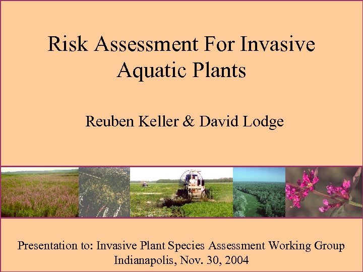 Risk Assessment For Invasive Aquatic Plants Reuben Keller & David Lodge Presentation to: Invasive
