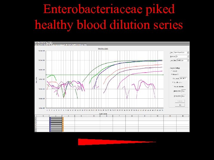 Enterobacteriaceae piked healthy blood dilution series 
