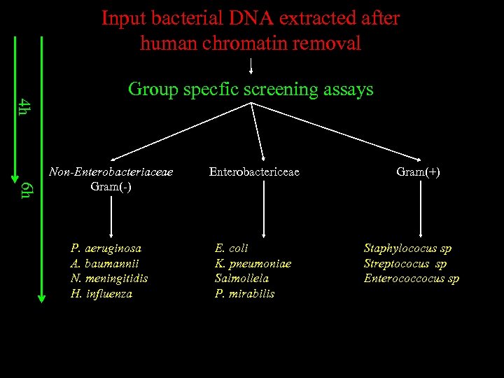 Input bacterial DNA extracted after human chromatin removal 4 h Group specfic screening assays